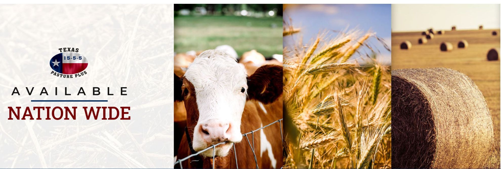 Texas Pasture Plus Fertilizer