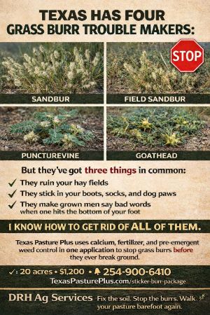 Picture for category Package Deals