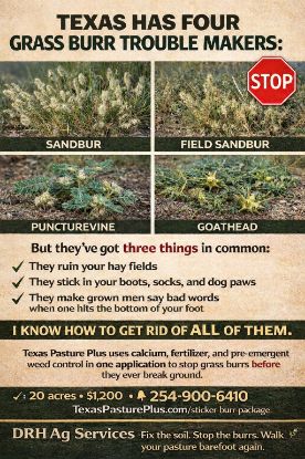 Picture of 20 Acre Sticker Burr Package