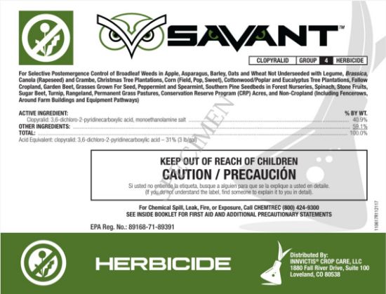 Picture of Savant